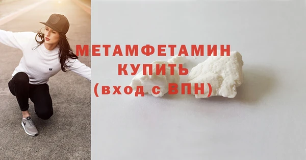 гидра Няндома