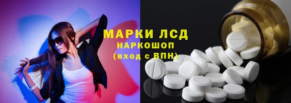 гидра Няндома