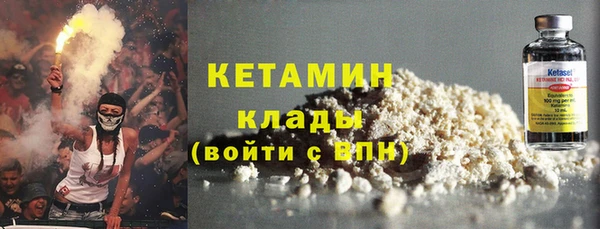 гидра Няндома