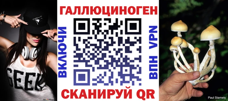 Псилоцибиновые грибы MAGIC MUSHROOMS  где купить   Отрадный 