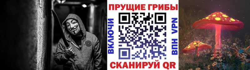Галлюциногенные грибы Psilocybine cubensis Отрадный